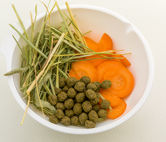 団体利用のどうぶつエサ