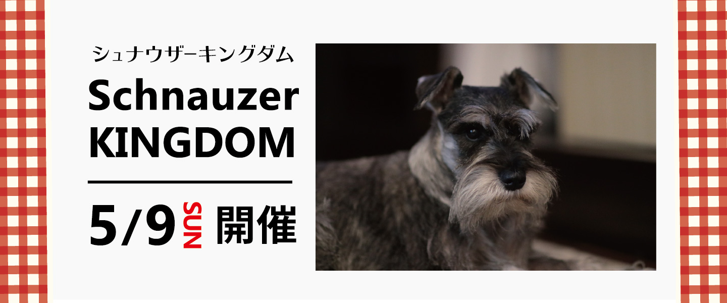 髭犬祭から生まれた Schnauzer Kingdom ピックアップ こもれび森のイバライド 茨城県 髭犬祭から生まれた Schnauzer Kingdom ピックアップ こもれび森のイバライド 茨城県
