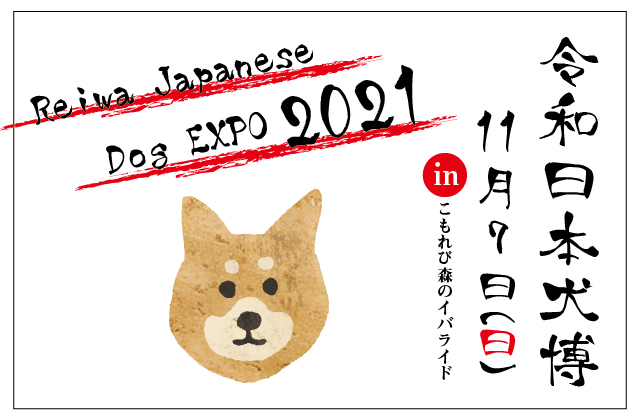 令和日本犬博21 ピックアップ こもれび森のイバライド 茨城県 令和日本犬博21 ピックアップ こもれび森のイバライド 茨城県