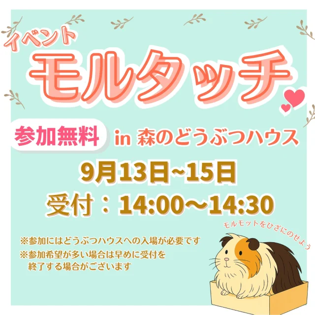 森のどうぶつハウスで開催！
「モルタッチ」❤️

モルモットを膝にのせて、やさしくふれあえる癒しのイベントです。 
小さな手ざわりと、ぬくもりに心がほっとするひとときをお楽しみください。

9月13日～15日限定開催
受付：14:00～14:30

🌿 参加無料 🌿

※ 森のどうぶつハウスへの入場が必要です
※動物の体調や天候により、内容が変更になる場合があります。
※写真は過去実施時のものになります。

#こもれび森のイバライド 
#モルタッチ
#イバライド
#森のどうぶつハウス
#ふれあい体験 
#小動物好き
#ふわもこ部
#ペット好きさんと繋がりたい
#動物大好き 
#かわいい動物
#癒されたい
#モルモット好き
#親子イベント
#動物とふれあう
#癒しの時間
#家族でおでかけ
#秋のおでかけ