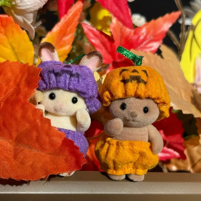【シルバニアパーク】

クイズラリー全問正解で選べるラインナップに、【ハロウィンコスチュームセット】が登場🎃⭐️
2着セットだから、お揃いで着せてあげるとかわいいよ✨
※お人形は付きません

 #イバライド #茨城 #シルバニアパーク #茨城シルバニアパーク #シルバニアファミリー