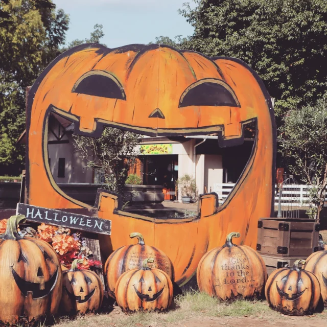 🎃👻🍬＼ハロウィンがやってきた！／🍭🕸️🧙‍♀️ 

園内にハロウィン装飾を飾りはじめました〜！🧡🖤 

かぼちゃ🎃やおばけ👻、コウモリ🦇たちがあちこちに出現してます✨✨

思わず「わぁ！」って声が出ちゃうような楽しい装飾がいっぱい💫 

写真スポットもたくさんあるから、仮装して遊びに来るのもおすすめ📸🎩🧛‍♂️

秋の風が心地よいこの季節、家族みんなでハロウィン気分を楽しみに来てね🍂🎃 スタッフ一同、お待ちしてます〜！🧡🕷️🍭

☆　☆　☆

10/18　営業情報
・ビッグプレイランド
　点検トラブルのため12:00頃より営業再開予定
・バイキングレストラン「シュー」
　団体利用のため12:30から一般営業スタート

☆　☆　☆

#こもれび森のイバライド #ハロウィン #園内装飾 #家族でおでかけ #秋イベント #仮装して遊ぼう #フォトスポットあり #ハロウィン2025