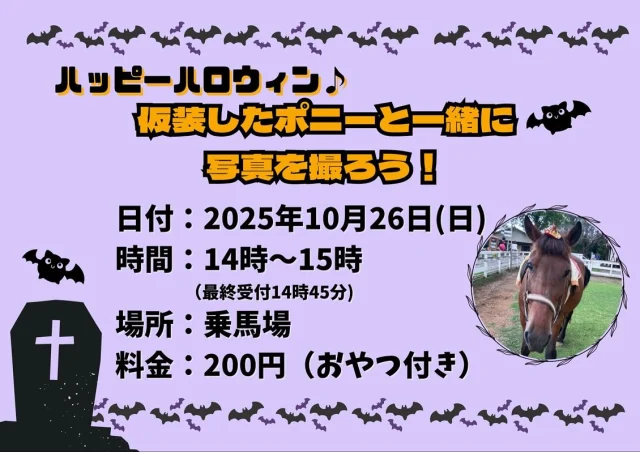 【お知らせ】

10月26日に予定しておりましたイベントは、悪天候のため中止とさせていただきます。
楽しみにされていた皆様にはご迷惑をおかけしますが、何卒ご理解のほどよろしくお願い申し上げます。

☆　☆　☆

【ハッピーハロウィン♪
仮装したポニーと一緒に写真を撮ろう！】

1年に1度しかない！？
ハロウィン仮装をしたお馬さんと写真撮影！
家族皆でハッピーハロウィン👻🍬
たくさんのご参加お待ちしております✨️

どんな仮装かは当日のお楽しみ､､､🎃

【お知らせ】
10月26日(日)の大人も乗れる乗馬は
15時〜16時に時間変更となります。
予めご了承ください。

 #こもれび森のイバライド #イバライド #茨城 #ハロウィン #🎃 #ハロウィンイベント #写真撮影 #ポニー #🐴 #イベント開催