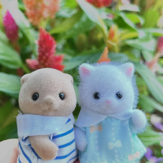 【シルバニアパーク】

シルバニアパークに咲いているお花と、赤ちゃん人形のお写真だよ📷
シルバニアパークでは、かわいい写真がたくさん撮れちゃう！ぜひ遊びにきてね✨

 #イバライド #茨城 #シルバニアパーク #茨城シルバニアパーク #シルバニアファミリー