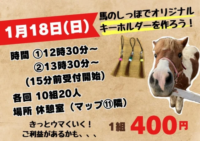 〜イベント情報〜
ポニーのしっぽでオリジナルキーホルダーを作ろう！🐴
ポニーのしっぽを使って世界にひとつだけの
キーホルダーを作りませんか？😆

開催日 1月18日
時間 1回目12時半 2回目13時半 (各回15分前受付開始)
料金400円
人数 各回10組20人
⁡
たくさんのご参加お待ちしております✨️
 #こもれび森のイバライド  #イバライド  #茨城  #ポニー  #キーホルダー作り