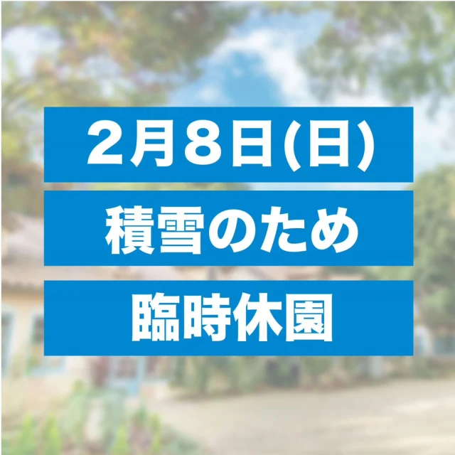 本日2月8日は園内、近隣道路に積雪が確認されたため、安全を考慮して臨時休園とさせていただきます。何卒よろしくお願いいたします。⁡
⁡⁡
 #こもれび森のイバライド
⁡ #イバライド
⁡ #積雪